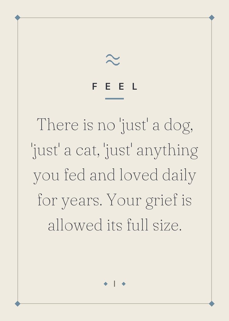 HELD pet loss card — no such thing as 'just' a pet