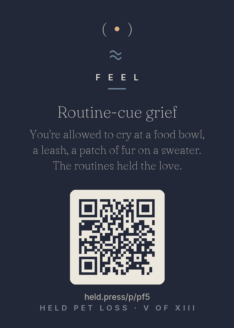 Routine-cue grief — Pet attachment lives in routines, so routine objects become the densest grief triggers: research on cue-triggered grief explains why the food bowl can ambush you harder than the photo album. The routines held the love — twice a day, every day, for years. Of course the routines hurt; they were the relationship's actual container. Crying over a bowl is grief working through its truest archive. Nothing about it is too much.