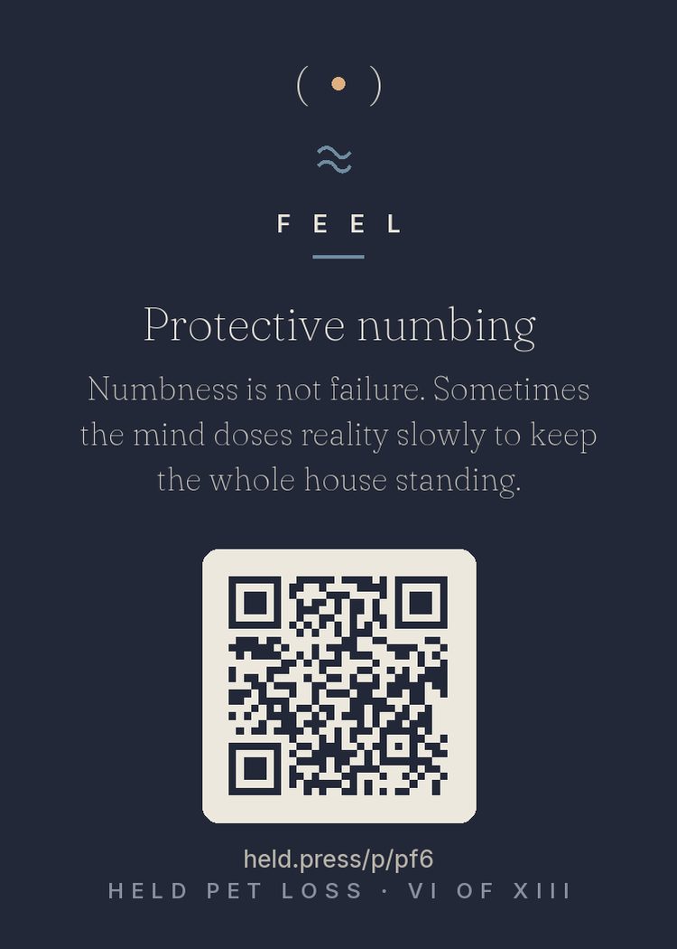Protective numbing — Numbness after loss is a documented protective response — the psyche rationing how much reality it metabolizes at once. Grief researchers describe gradual 'actualization': the truth lands in installments. Numbness is a dosing mechanism, not a love deficit, and pet grievers often add guilt to it ('shouldn't I feel more?'). You will. The heart pulls the fuse to protect the whole house, then restores power room by room.