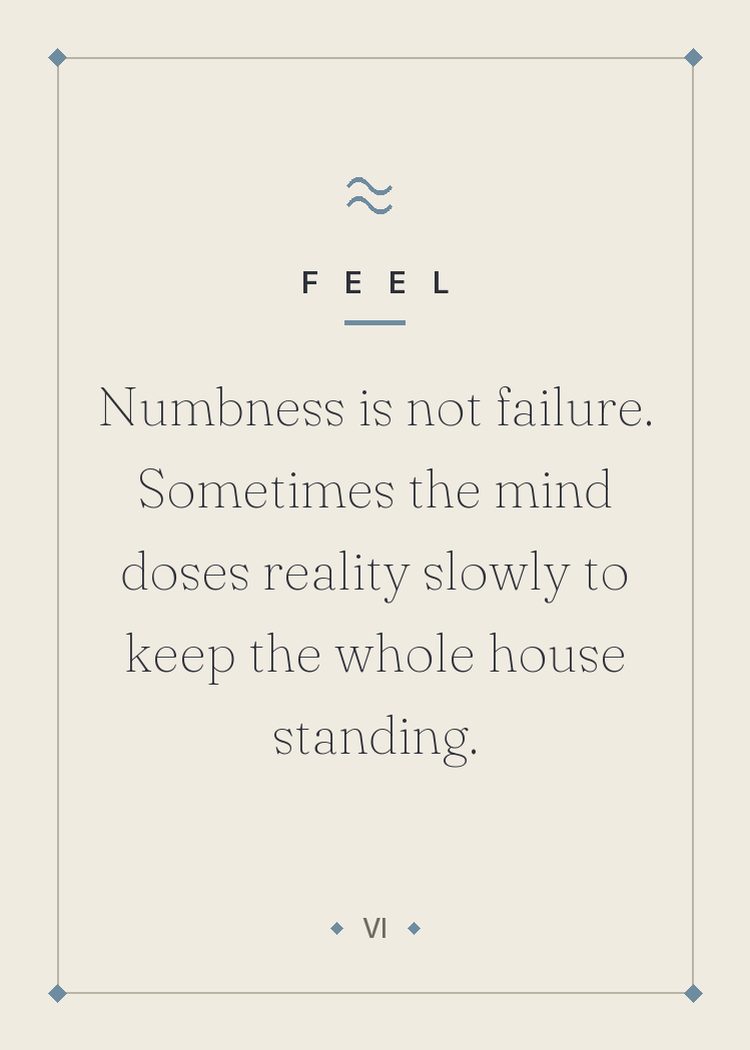 Numbness is not failure. Sometimes the mind doses reality slowly to keep the whole house standing.