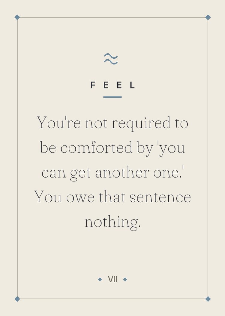 You're not required to be comforted by 'you can get another one.' You owe that sentence nothing.