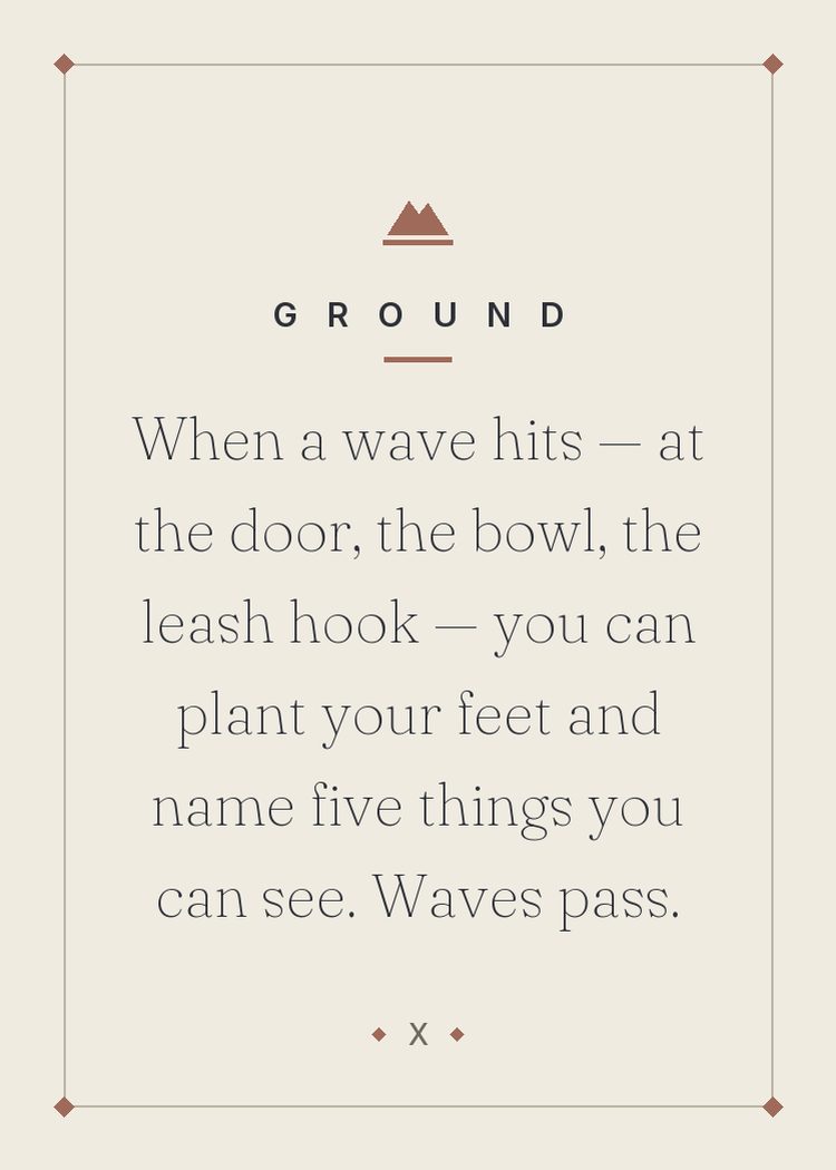 When a wave hits — at the door, the bowl, the leash hook — you can plant your feet and name five things you can see. Waves pass.