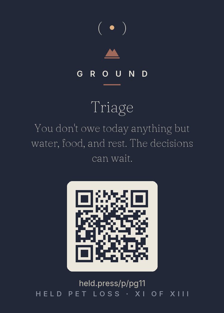 Triage — In overload, rank ruthlessly: water, food, rest form the physiological floor everything else stands on. Grief shrinks executive bandwidth, so the list must shrink to match capacity. Everything else genuinely can wait — including the decisions people rush pet grievers toward: the belongings, the ashes, the questions about 'next time.' Accurate prioritization under reduced capacity is wisdom, not avoidance. The floor first. The rest later.