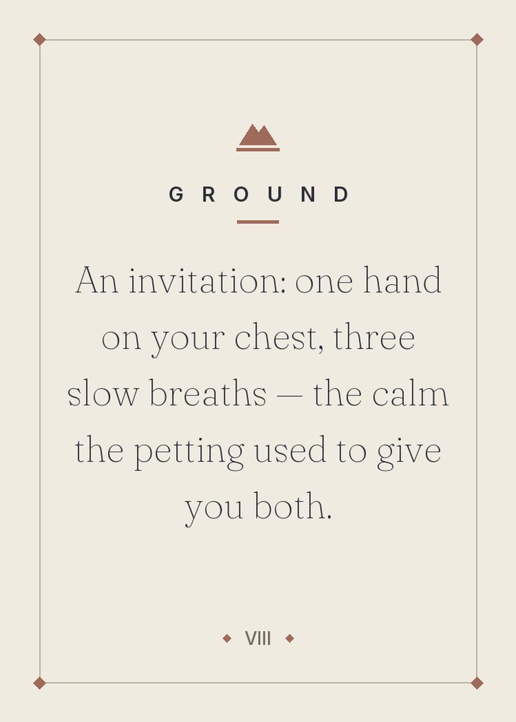 An invitation: one hand on your chest, three slow breaths — the calm the petting used to give you both.