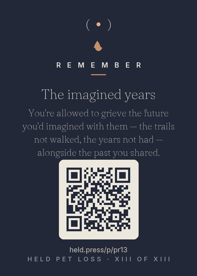 You didn't just lose the years you had. You lost the trail you were going to walk next spring, the move they were coming on, the gray-muzzle years you'd already pictured. Planned futures are real losses. — Grief research calls it anticipated-future loss: the timeline that ended mid-sentence. It deserves its own naming, not a footnote.
