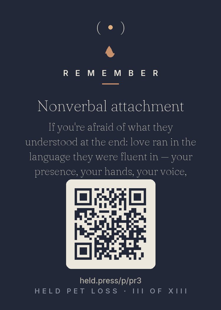 Nonverbal attachment — The fear underneath pet grief is almost always this one: did they know? The science of animal social cognition is reassuring — dogs and cats read human emotion through tone, scent, face, and routine, and attachment operates entirely without vocabulary. Love was conducted in the channel they were fluent in: presence, care, touch, time. You both spoke it daily for years. They knew. It was never in a language they could miss.