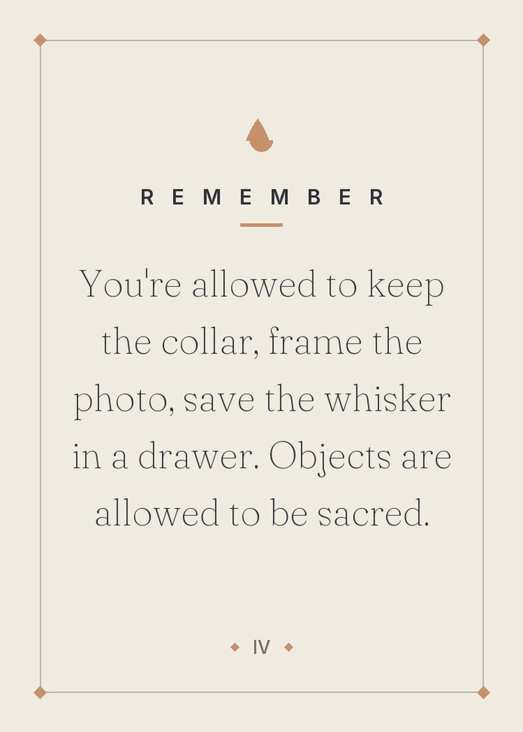 HELD pet loss card — the collar, the photo, the whisker