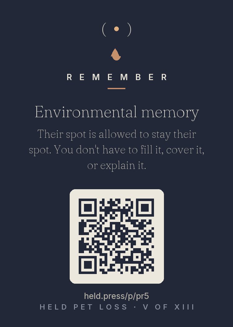 Environmental memory — Animals inscribe themselves into space — the couch corner, the sun patch, the spot by the door — and spatial memory keeps rendering them there. Their spot stays charged because your brain mapped it that way for years. Grief research supports pacing environmental change to the griever's readiness: fill it, cover it, or leave it be, on your schedule only. The spot is still their spot. That needs no defense.
