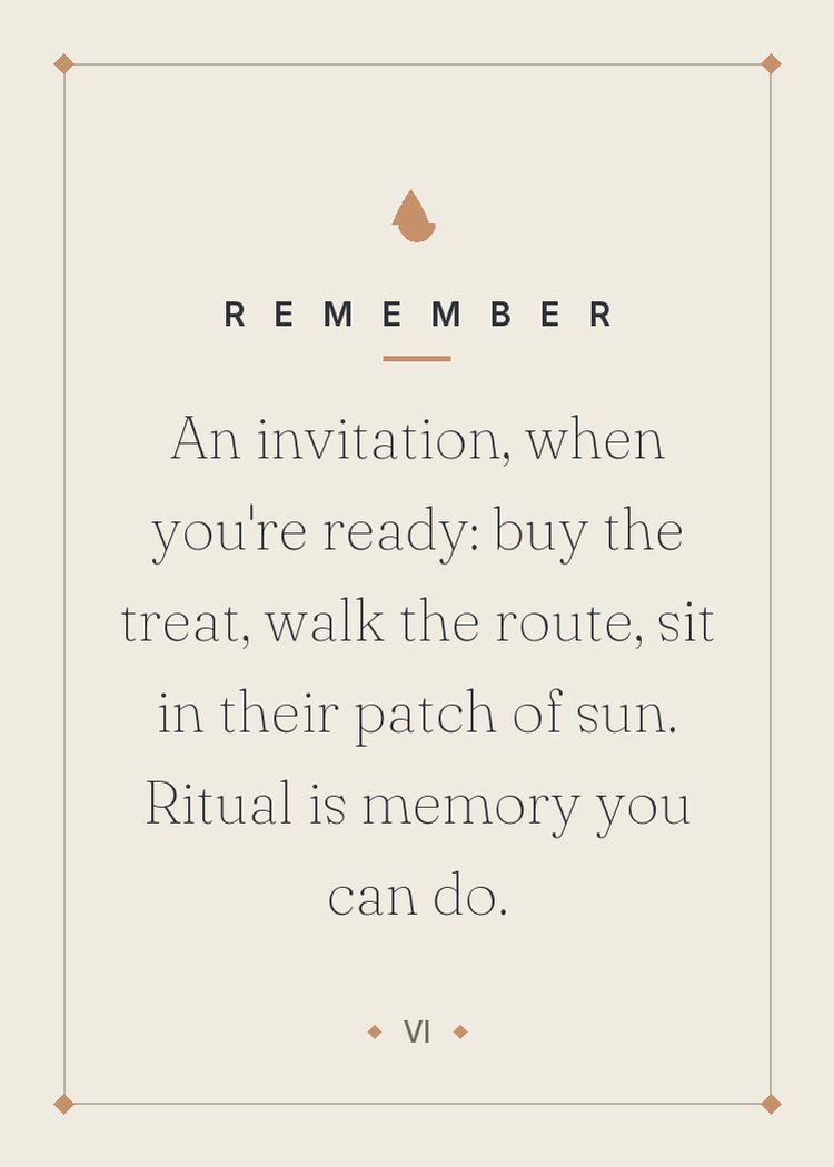 An invitation, when you're ready: buy the treat, walk the route, sit in their patch of sun. Ritual is memory you can do.