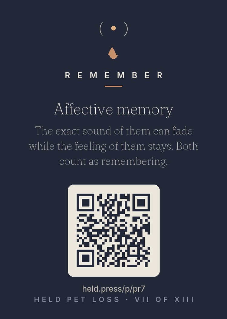 Affective versus sensory memory — Memory stores in parallel systems that fade at different rates: the exact pitch of the bark or the particular purr (sensory detail) blurs long before the felt sense of them (affective memory) even begins to. Grievers fear the first as forgetting; it isn't. How they made you feel — the specific comfort of that specific animal — is the deeper record, and it keeps. Both systems loved them. One is permanent.