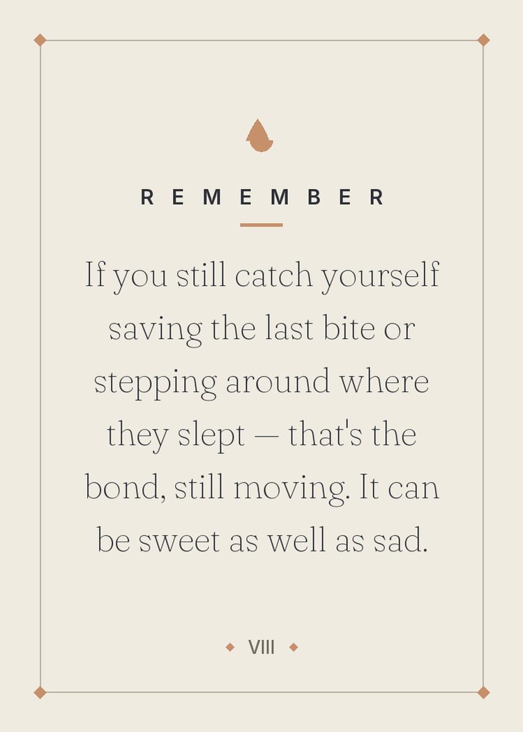 If you still catch yourself saving the last bite or stepping around where they slept — that's the bond, still moving. It can be sweet as well as sad.