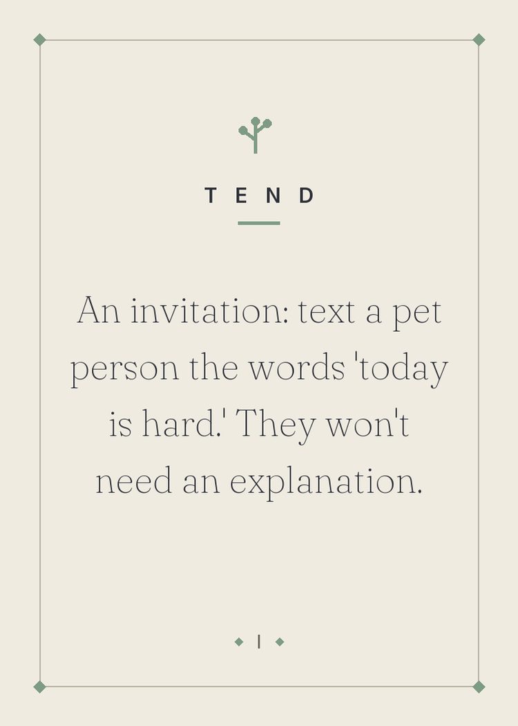 An invitation: text a pet person the words 'today is hard.' They won't need an explanation.