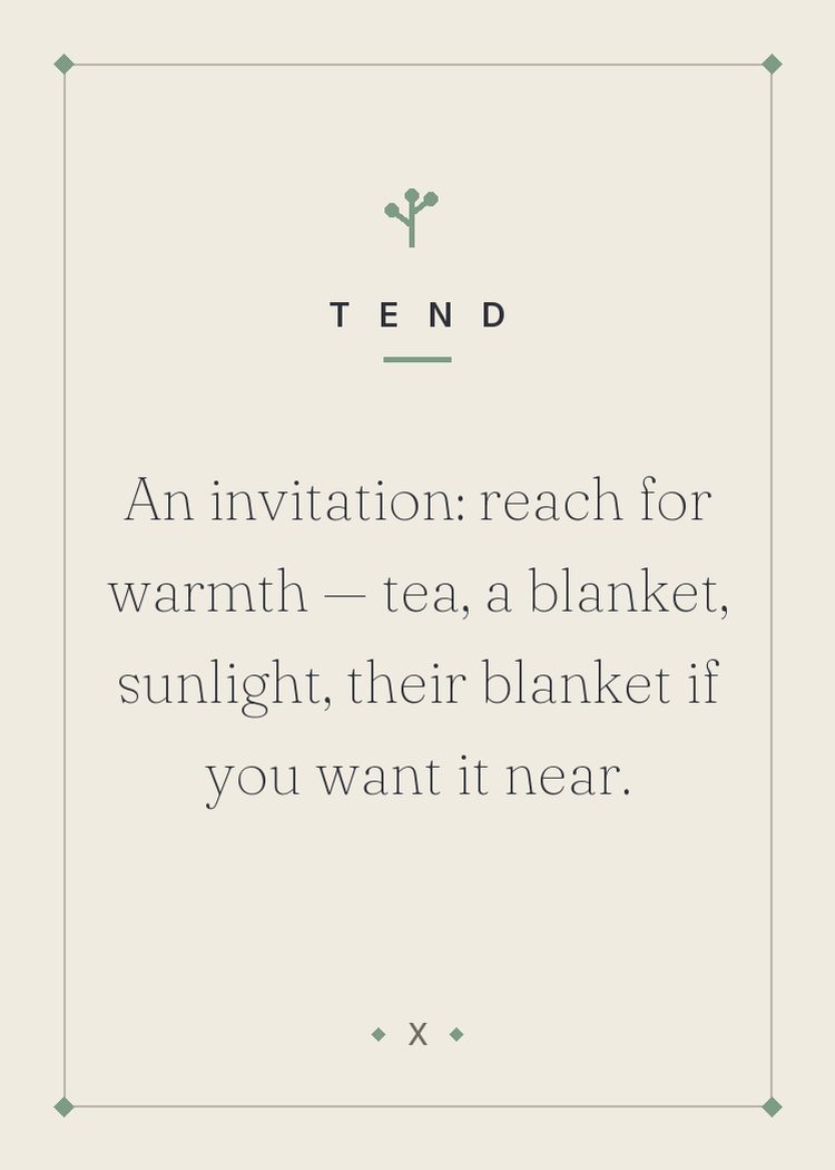 An invitation: reach for warmth — tea, a blanket, sunlight, their blanket if you want it near.