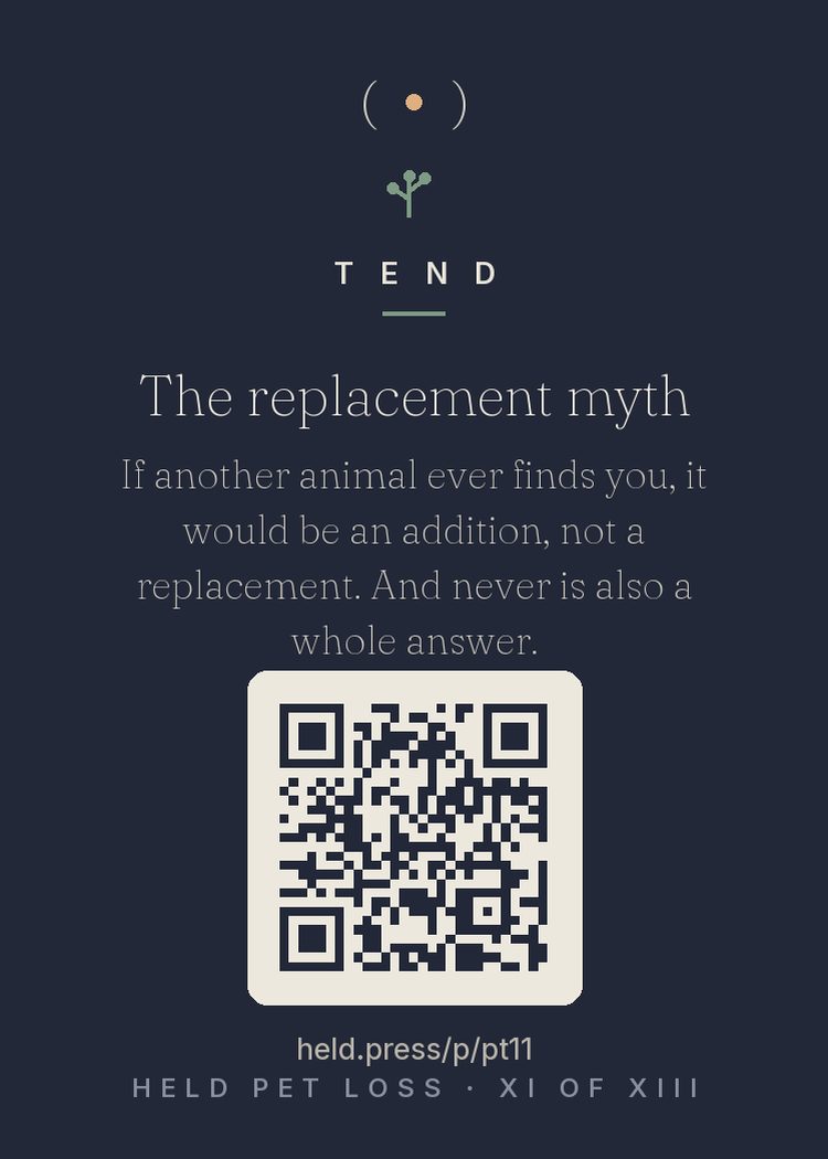 The replacement myth — Research on subsequent pets dismantles the 'replacement' frame entirely: a new animal is a new relationship, not a substitute — hearts run additional rooms, not tenant swaps. Studies find no correct timeline; readiness varies wildly and honestly. Some know in weeks, some in years, some choose never, and never is a complete answer, not a failure to heal. If another animal ever finds you, it won't be them. It was never supposed to be.