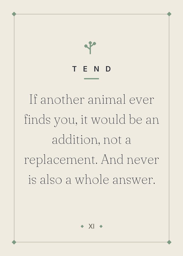 If another animal ever finds you, it would be an addition, not a replacement. And never is also a whole answer.