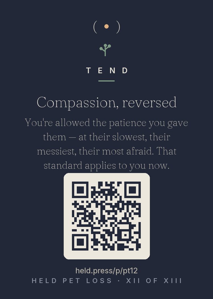 Compassion, reversed — Kristin Neff's research shows self-compassion predicts better outcomes after loss than self-esteem — and pet people have a shortcut to it, because they already practiced perfect patience daily: with accidents, with slowness, with old age, with fear. You never demanded they grieve efficiently or heal on schedule. That standard — the one you held effortlessly for them — is the correct one for you now. They would insist. Be as patient with yourself as you were with them.