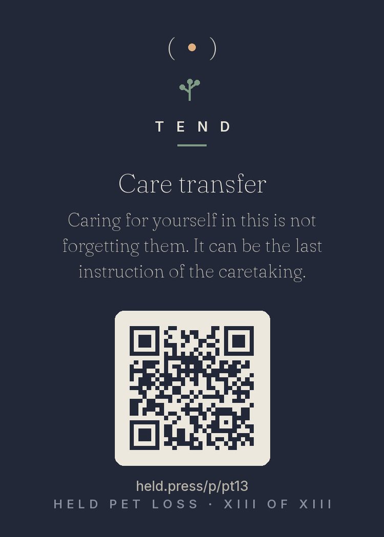 For years, part of every day was spent keeping a creature alive and comfortable. That capacity doesn't vanish when they do — it stands in the kitchen with nowhere to report. — This card reassigns it. The hands that measured food and noticed limps now have one patient left. Treating yourself as worth that care is the caretaking, continued.