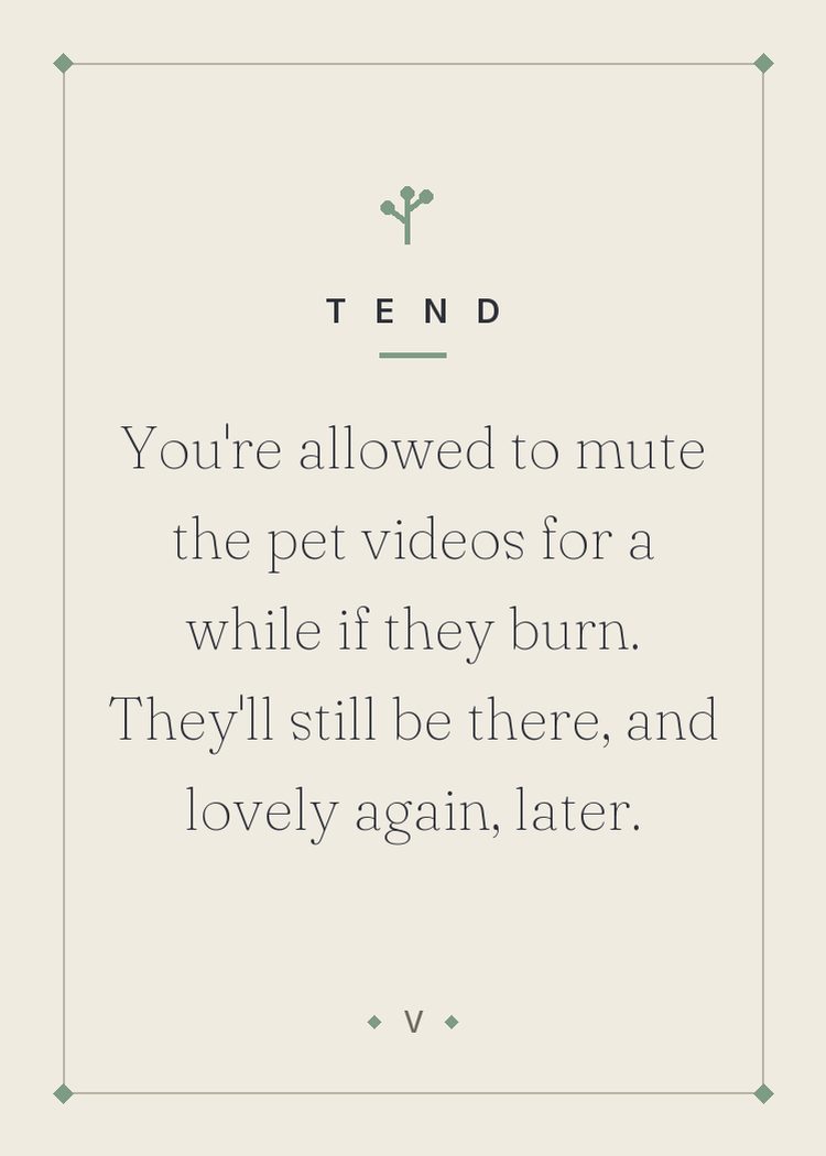 You're allowed to mute the pet videos for a while if they burn. They'll still be there, and lovely again, later.
