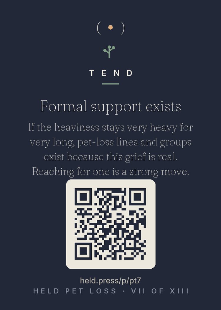 Formal support exists — Pet loss support lines, groups, and counselors exist — many run by veterinary schools — for one reason: the grief is real enough to require them. Research shows most grief softens with time and informal support, but when the heaviness stays unmoving too long, structured help works, and pet-loss-specific spaces skip the validation battle entirely. Borrowing help is wisdom, not defeat. The rooms are already built. Walking in is the only step.