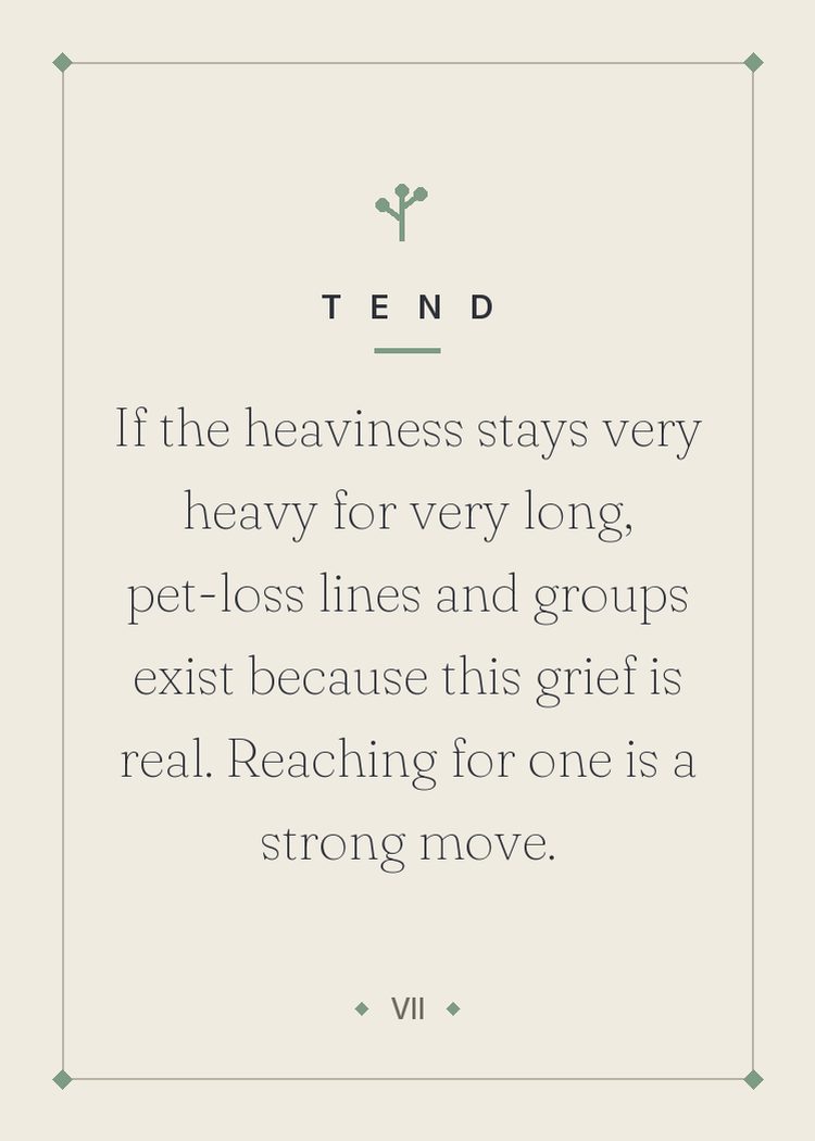 If the heaviness stays very heavy for very long, pet-loss lines and groups exist because this grief is real. Reaching for one is a strong move.