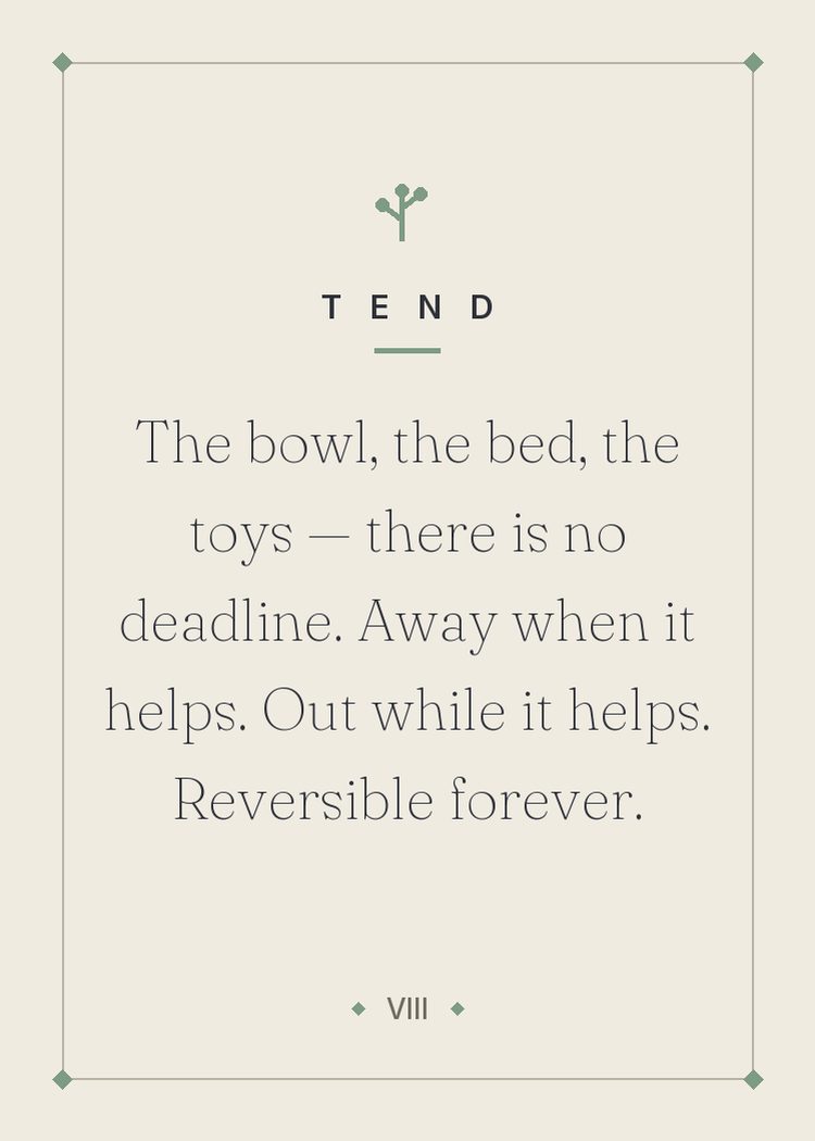 The bowl, the bed, the toys — there is no deadline. Away when it helps. Out while it helps. Reversible forever.