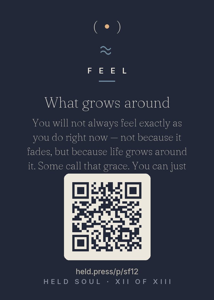 The back of What grows around — with the code that opens this room